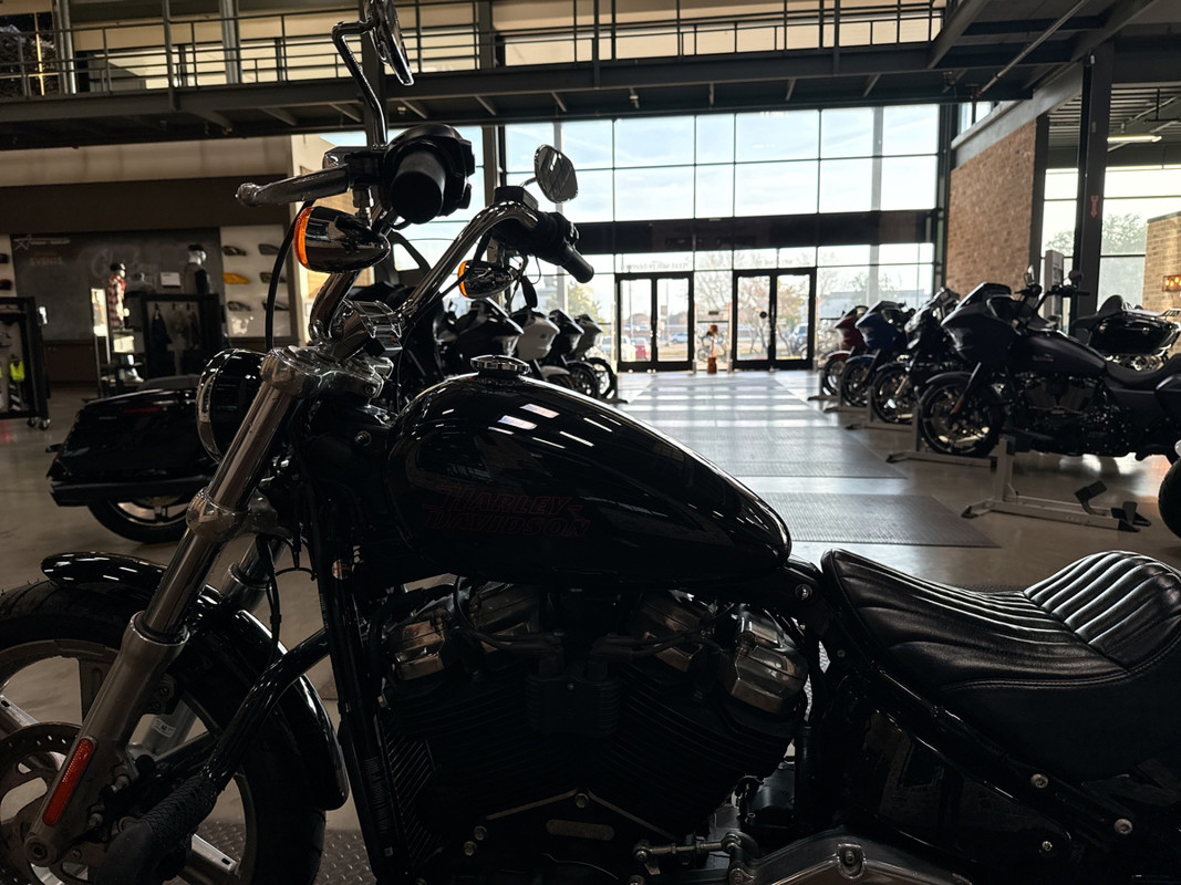 Softail® Standard