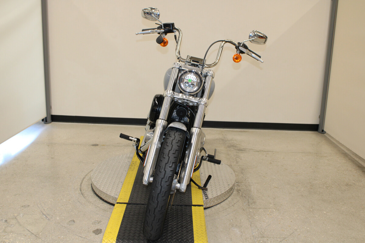 Softail® Standard
