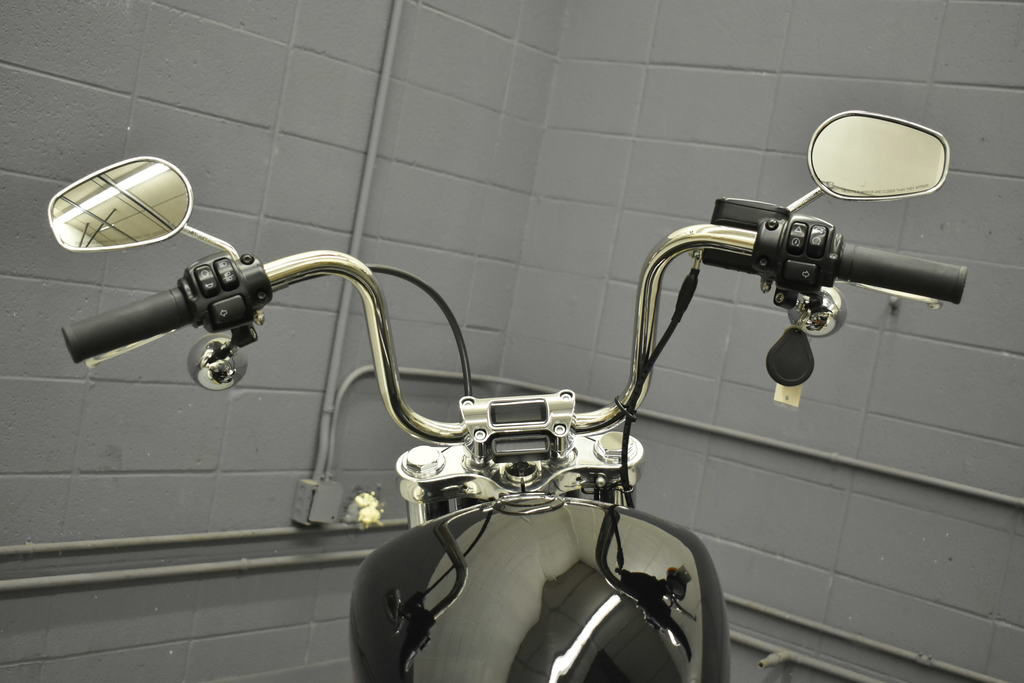 Softail® Standard