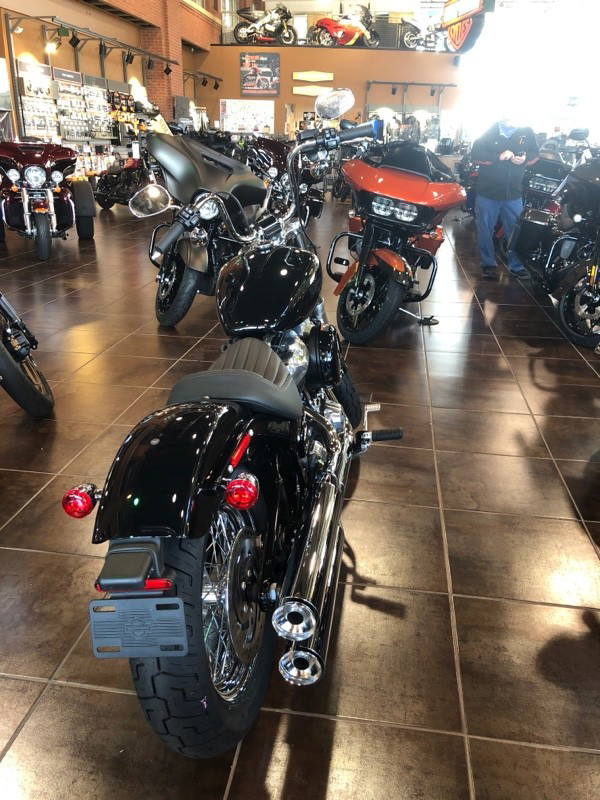 Softail® Standard