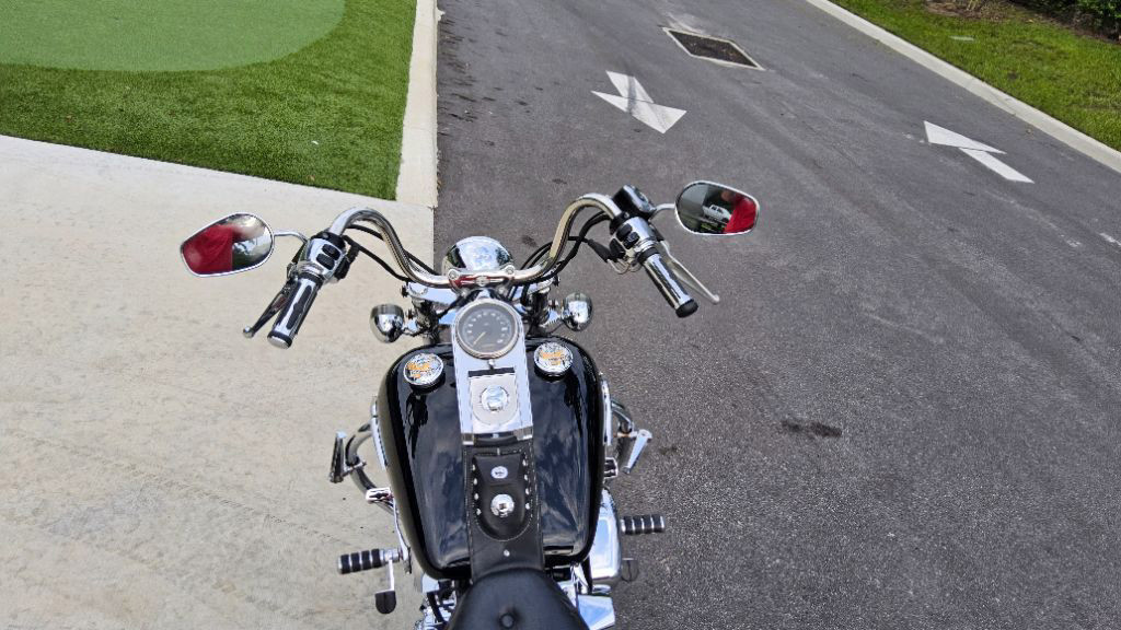 Softail® Custom