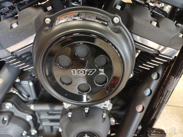 Street Bob®