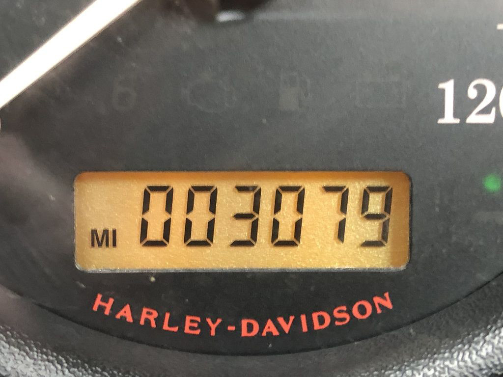 Electra Glide® Standard