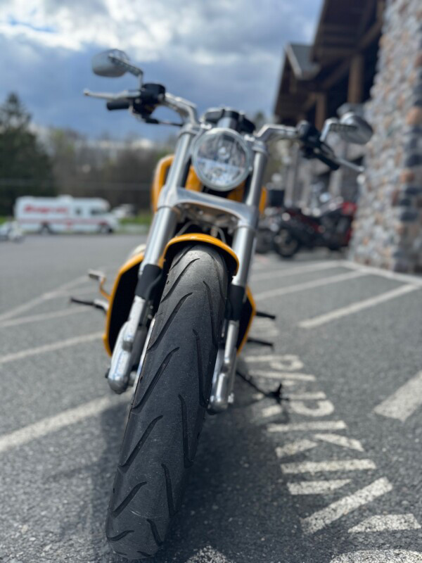 V-Rod® Muscle®
