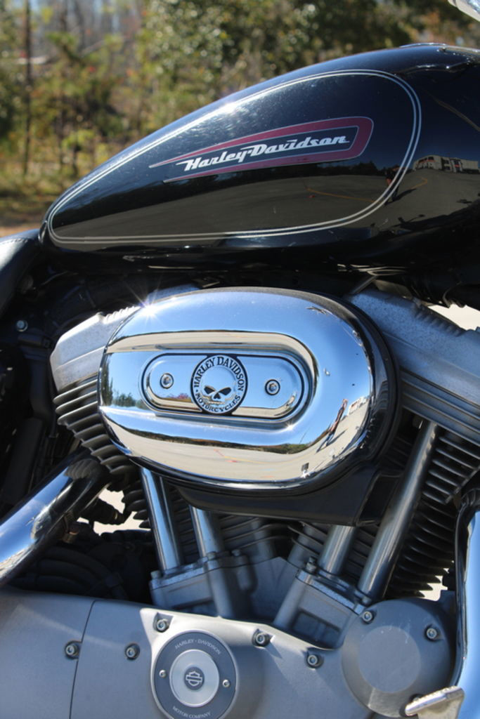 Sportster® Iron 883®