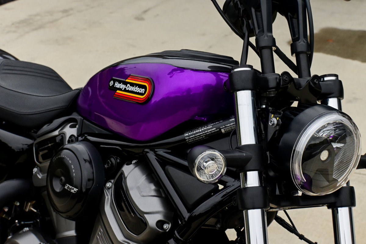 Nightster Special