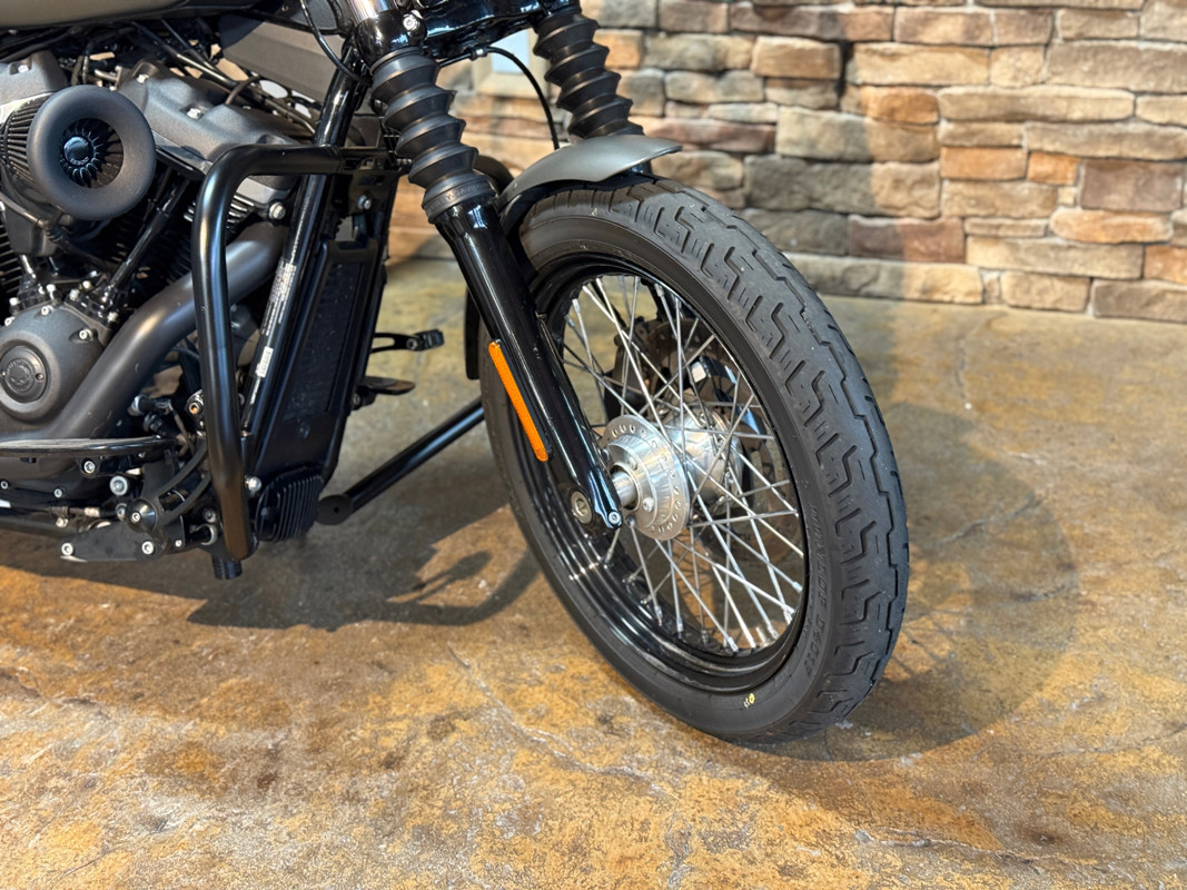 Dyna® Street Bob®	