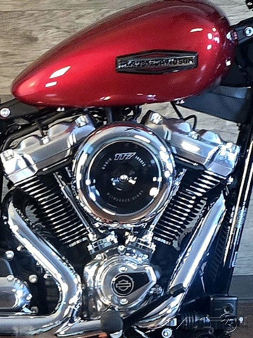 Street Bob®