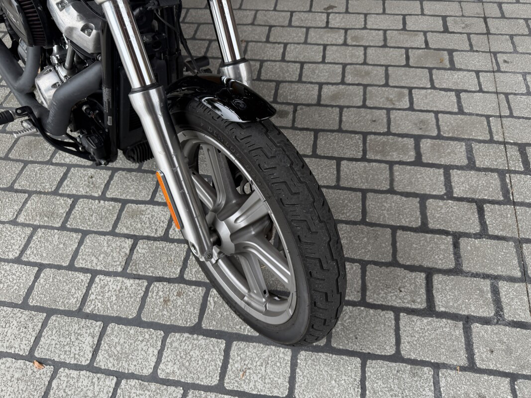 Softail® Standard