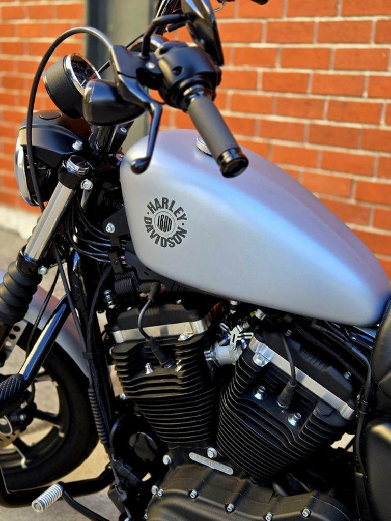 Iron 883®