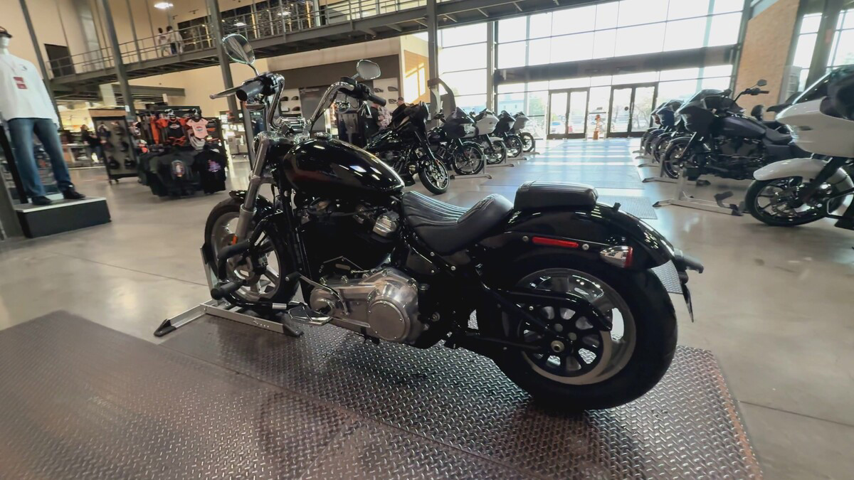 Softail® Standard