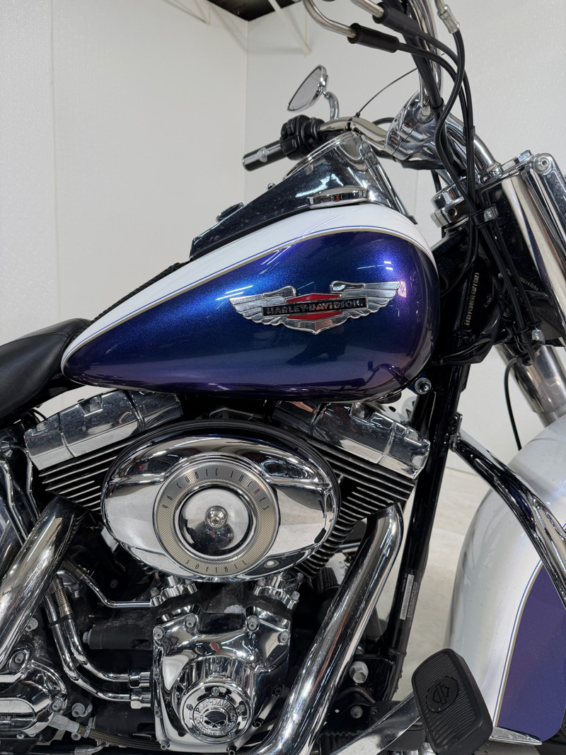 Softail® Deluxe