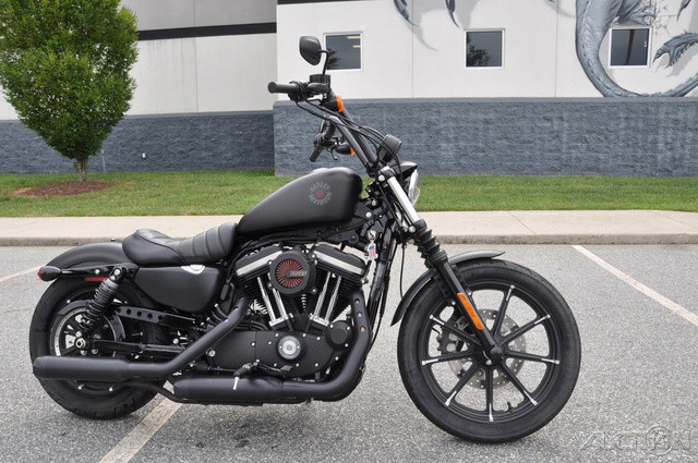 Iron 883®
