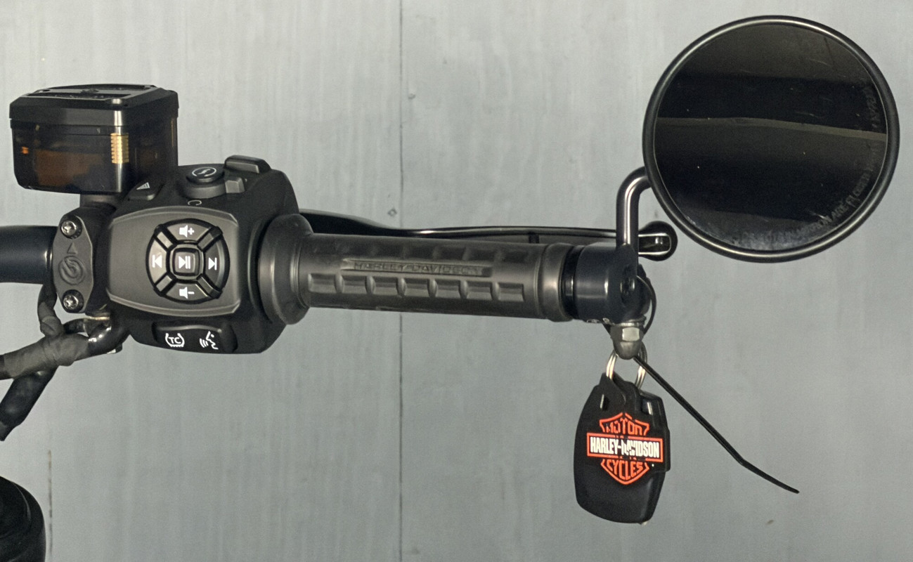 Sportster® S