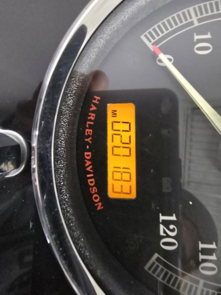 Softail® Fat Boy® Lo