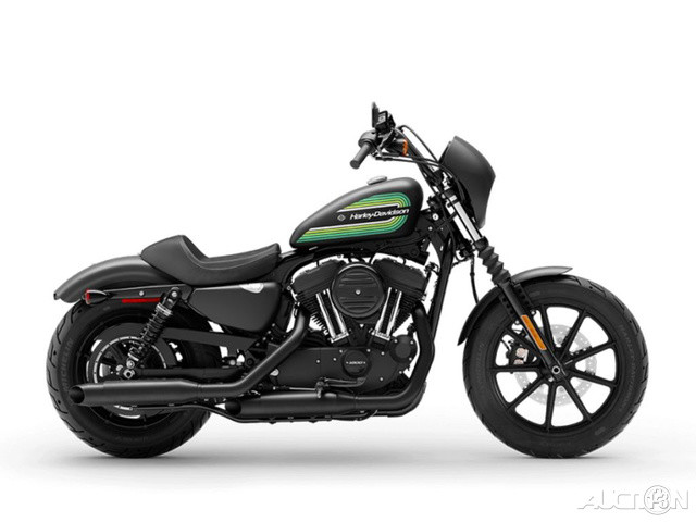 Iron 1200®