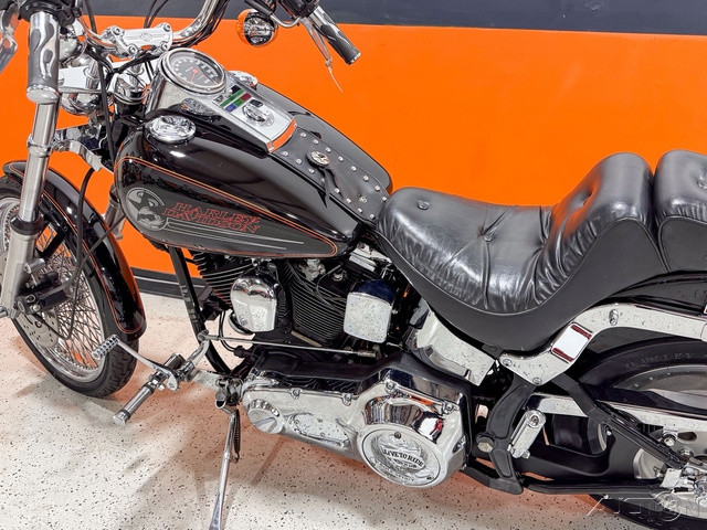 Softail® Custom
