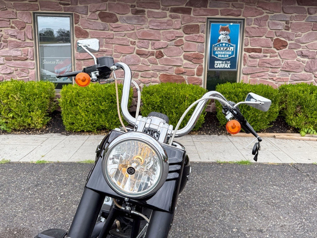 Softail® Fat Boy® Lo