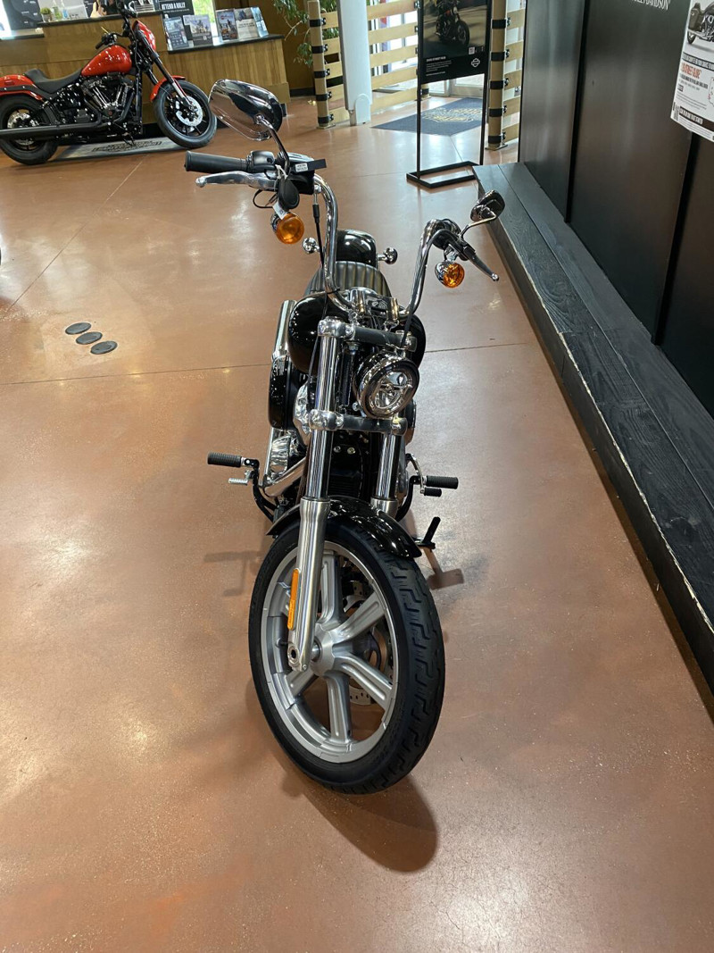 Softail® Standard