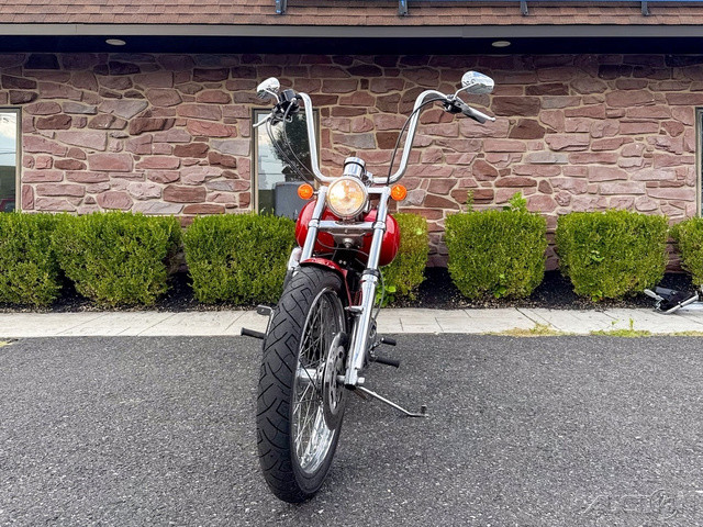Softail® Custom