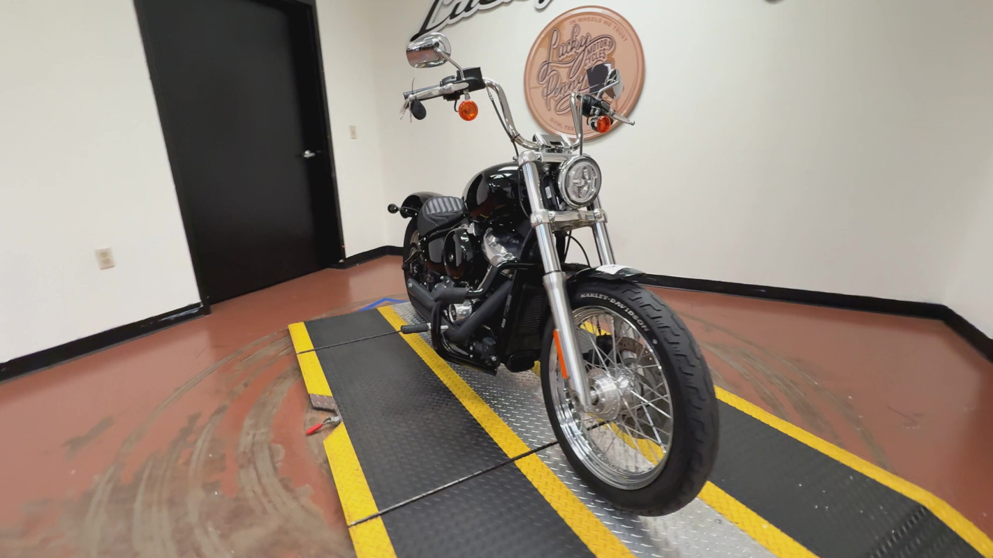 Softail® Standard