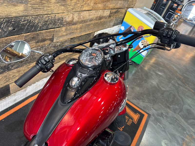Softail® Slim
