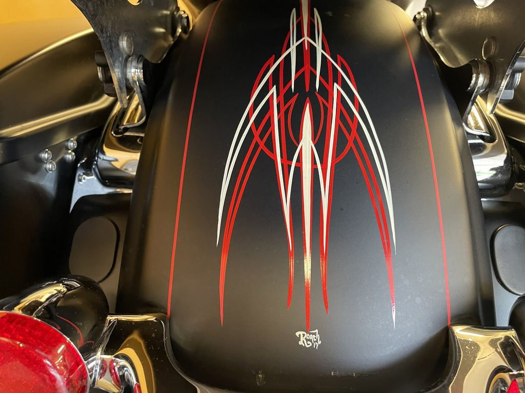 Street Glide® Special