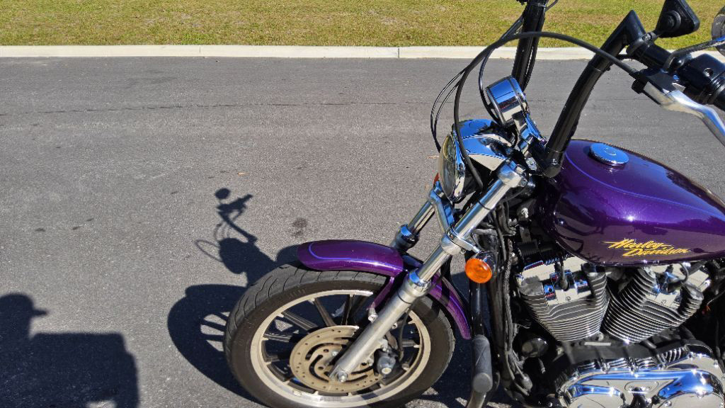 Sportster® 1200 Low