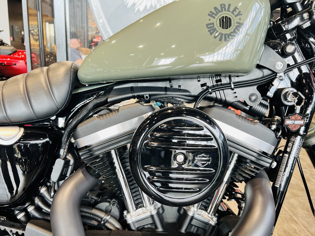 Iron 883®