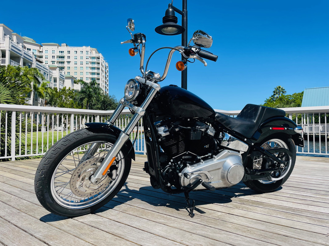 Softail® Standard