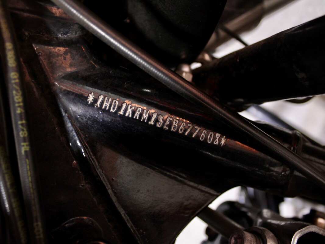 Street Glide® Special