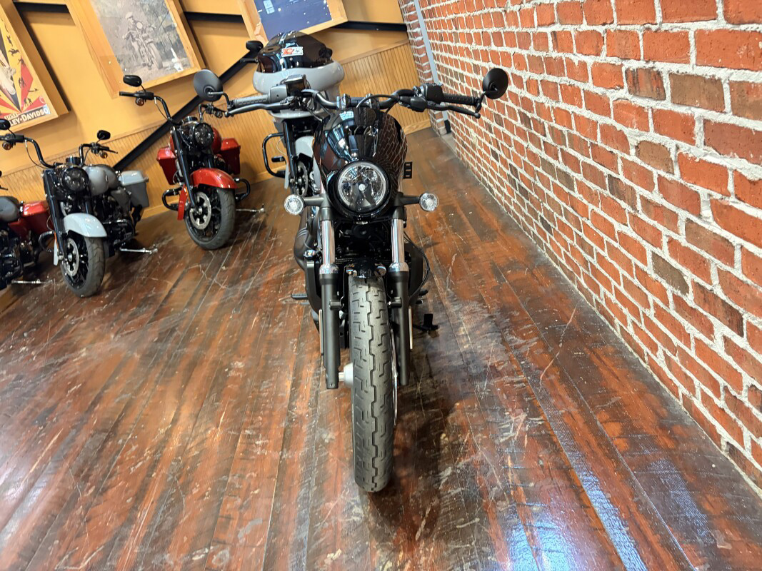 Nightster Special