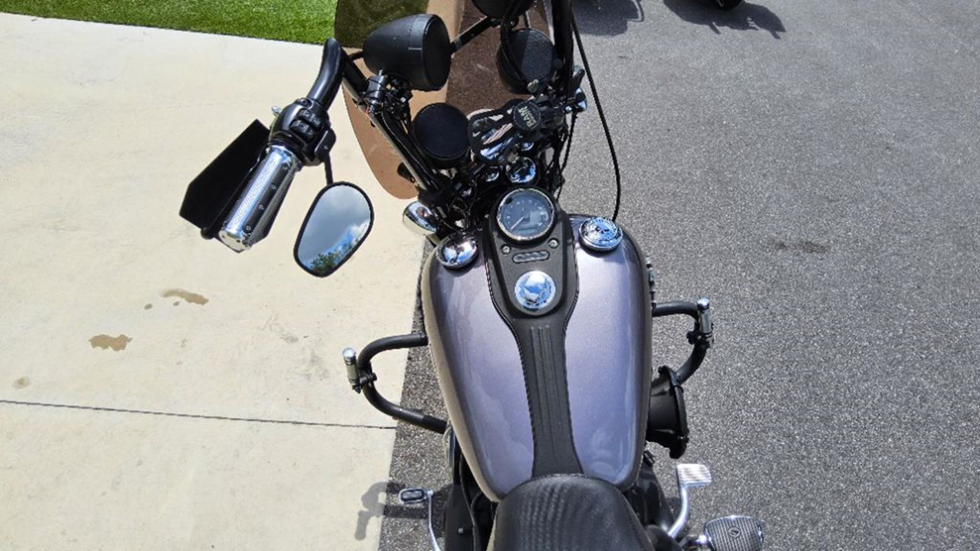Dyna® Street Bob®