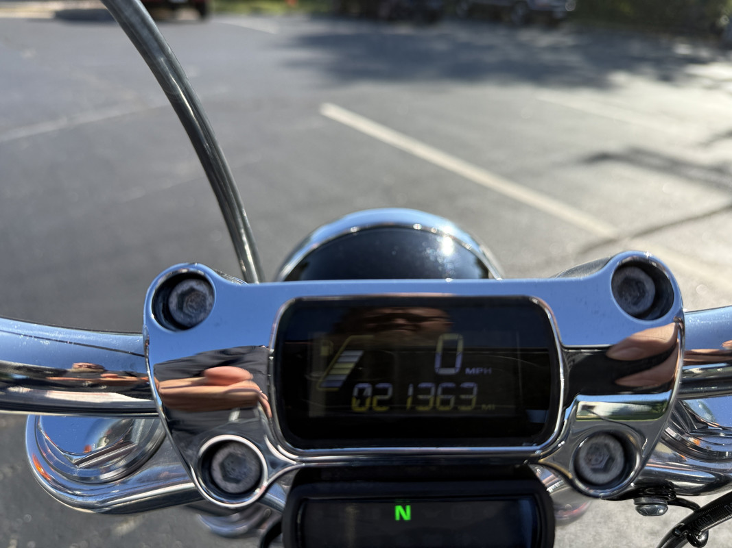 Softail® Standard