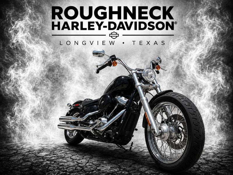 Softail® Standard