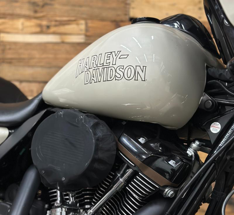 Street Glide® Special