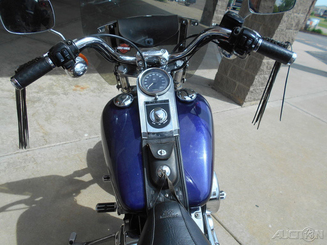 Softail® Standard