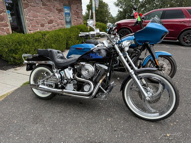 Softail® Custom