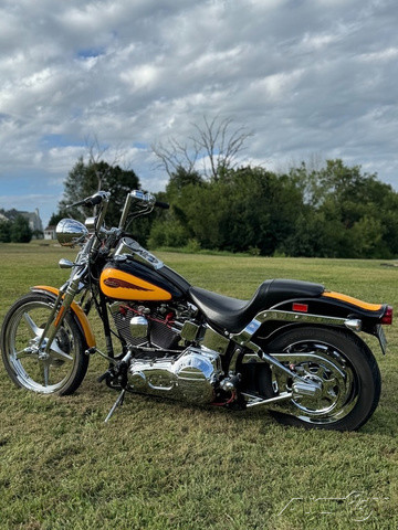 Softail® Springer® 