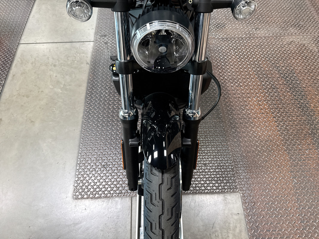 Nightster
