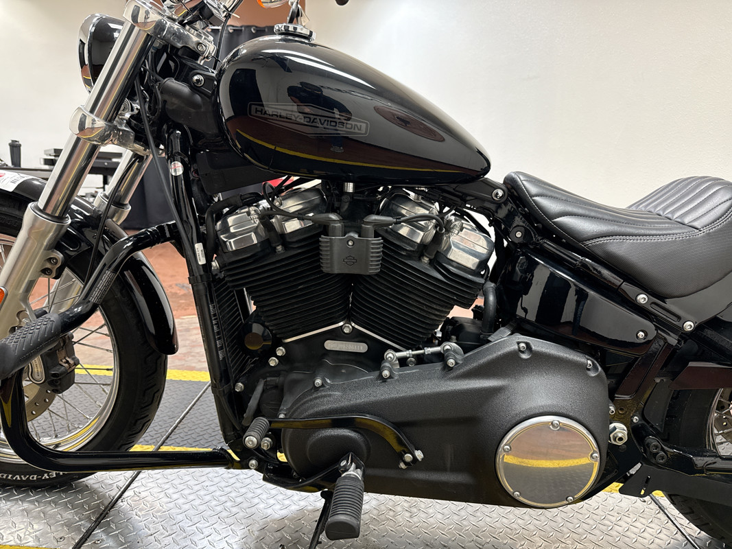 Softail® Standard