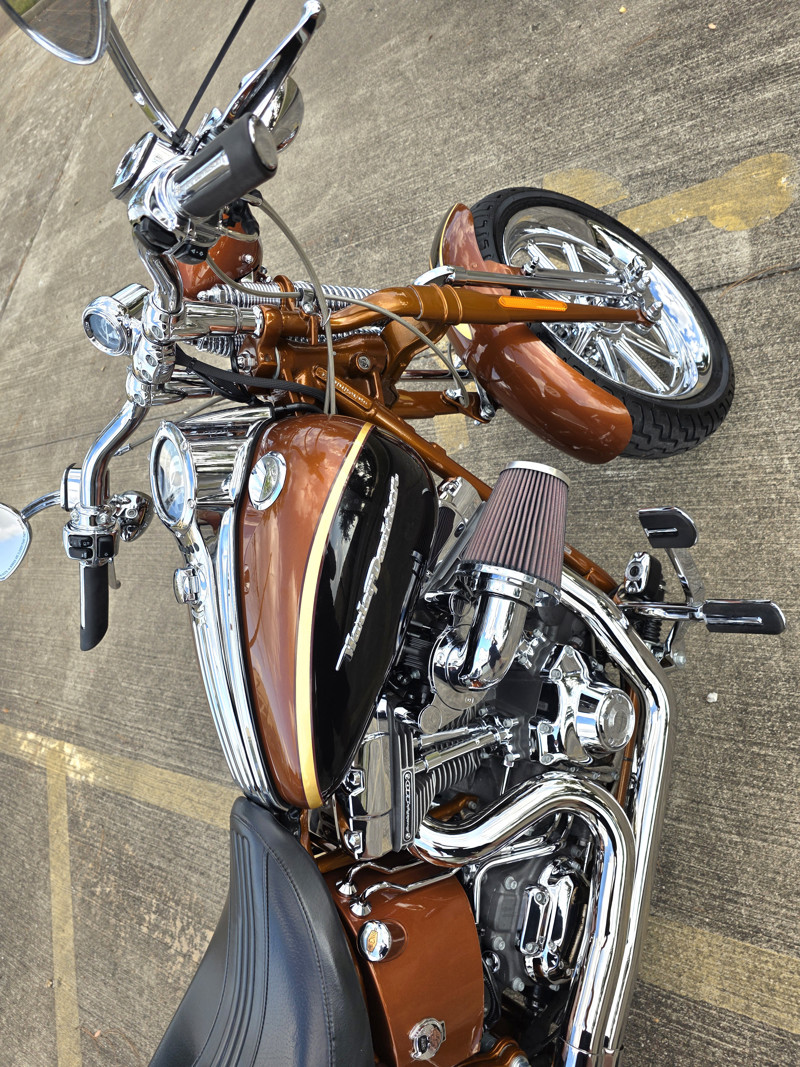 Screamin' Eagle® Softail® Springer® Anniversary
