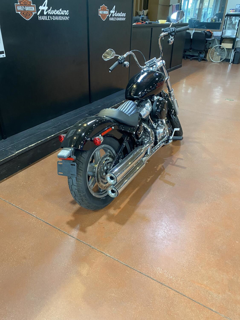 Softail® Standard