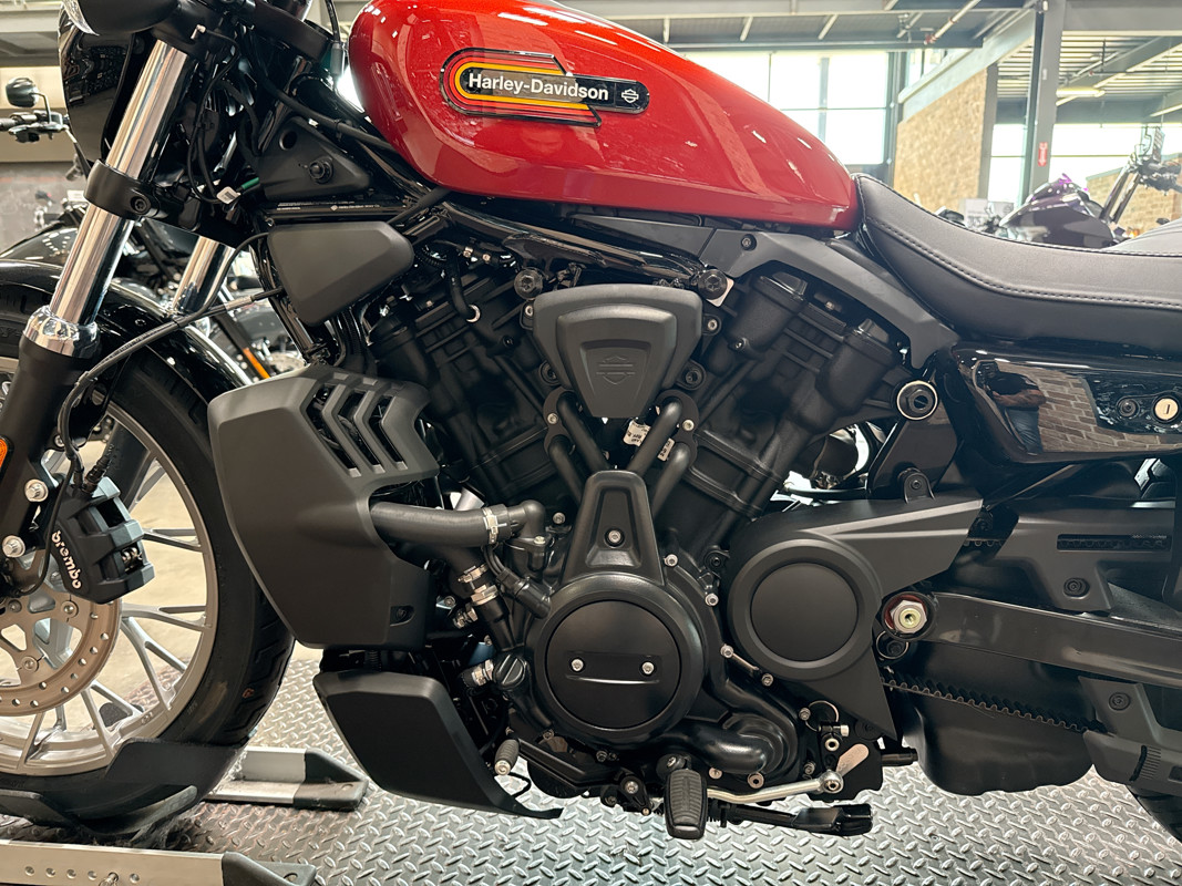 Nightster Special