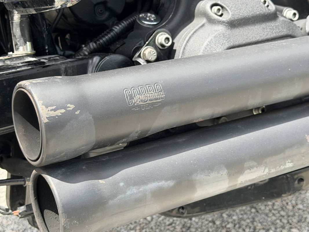 Dyna® Street Bob®