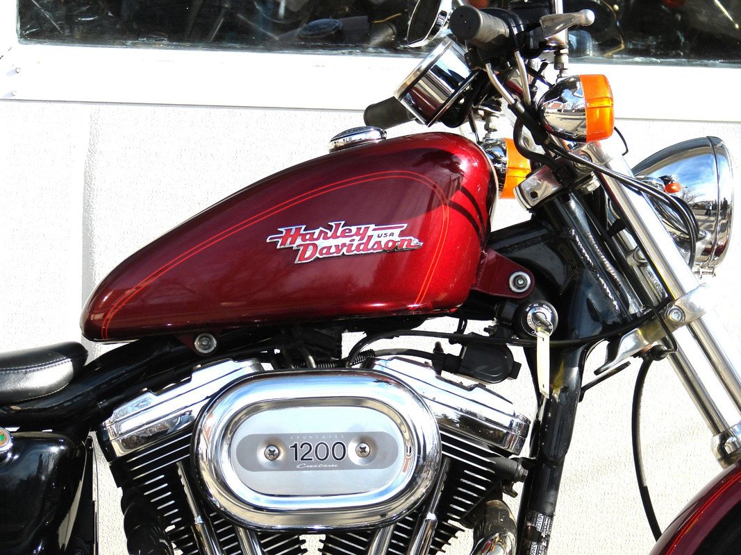 Sportster® 1200 Custom