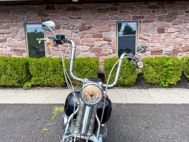 Softail® Springer® Classic