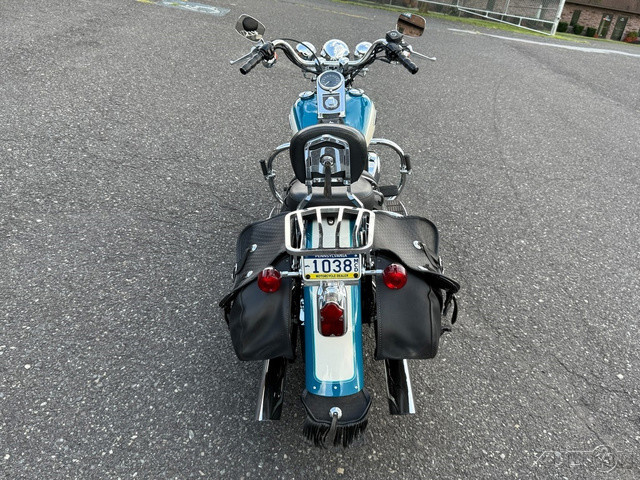 Springer® Softail®