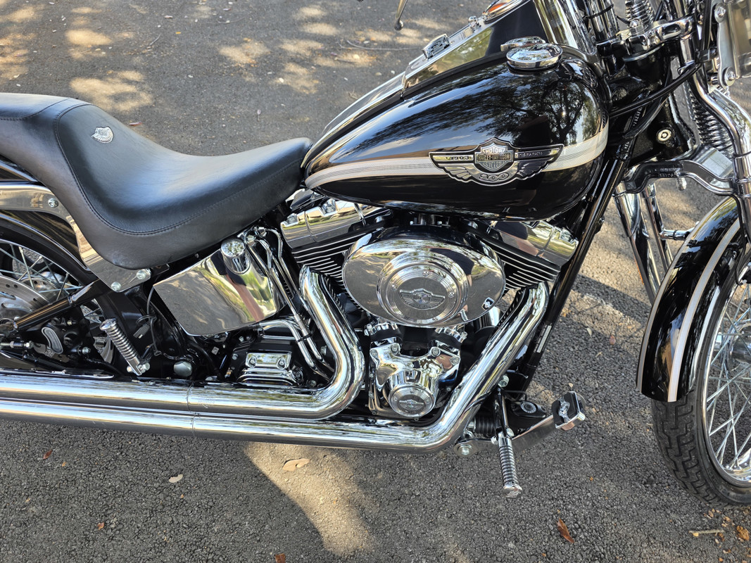 Springer® Softail® Anniversary