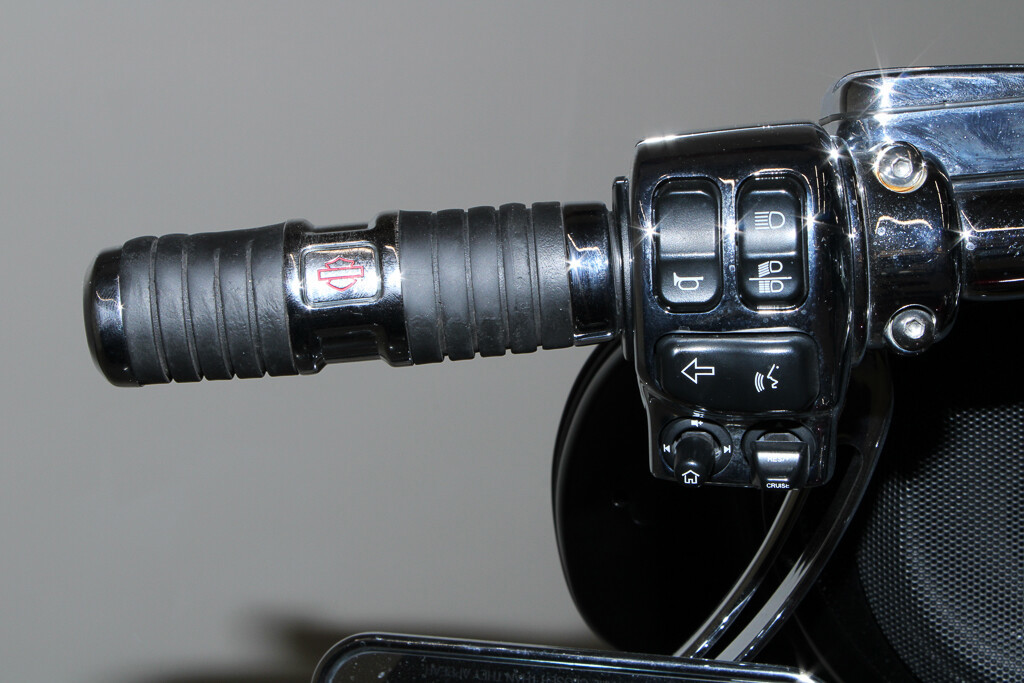 Street Glide® Special
